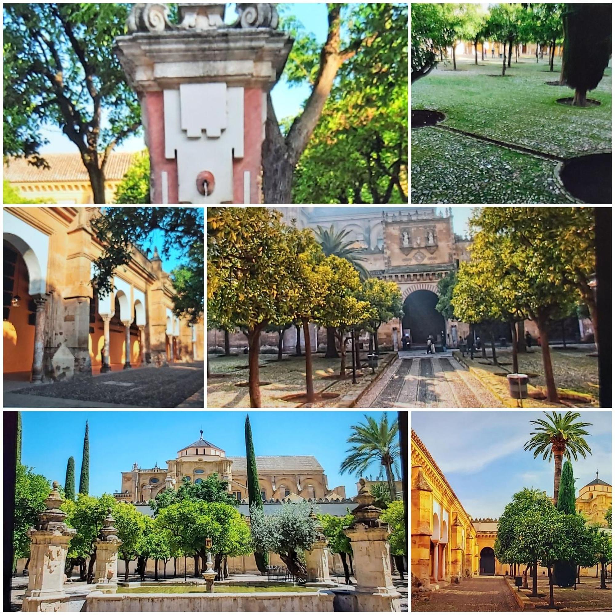 A 20 Metros De La Mezquita Catedral ,Apartamentos Turistico Cespedes 5 Kordoba Pokój zdjęcie