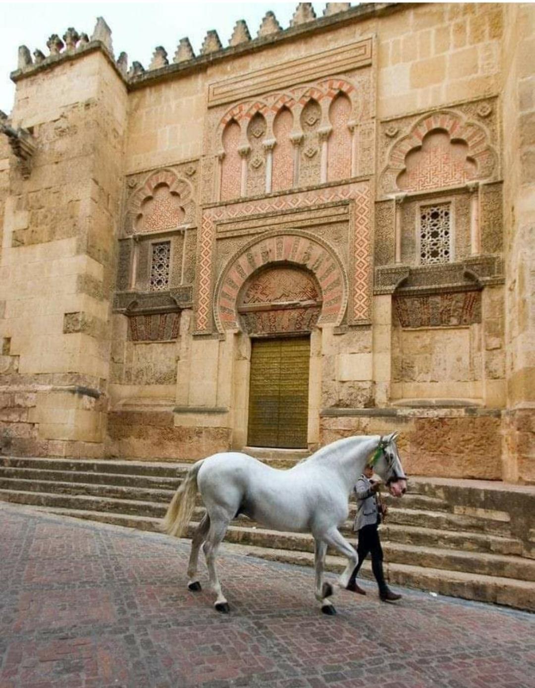 A 20 Metros De La Mezquita Catedral ,Apartamentos Turistico Cespedes 5 Kordoba Pokój zdjęcie
