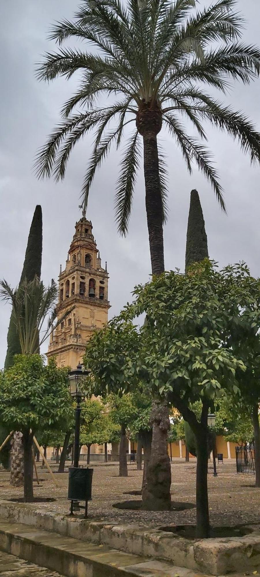 A 20 Metros De La Mezquita Catedral ,Apartamentos Turistico Cespedes 5 Kordoba Pokój zdjęcie